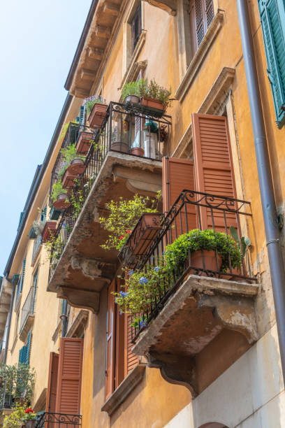 istock Flowering window boxing on various balconies 971553542