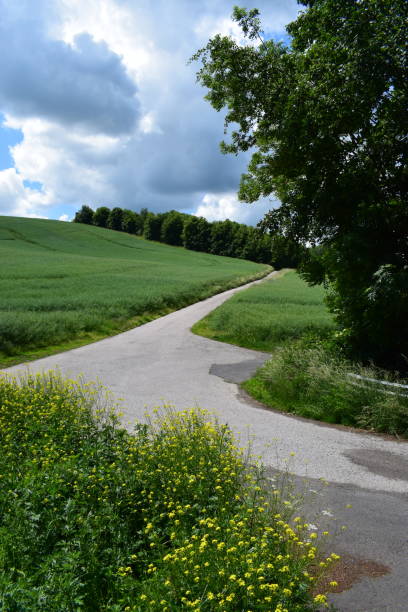 istock gravel road in June 971556518