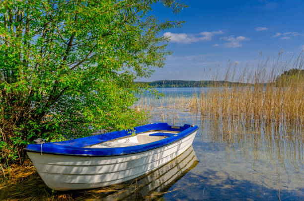 Shore of the Pluszne lake, warmian-masurian province, Poland.