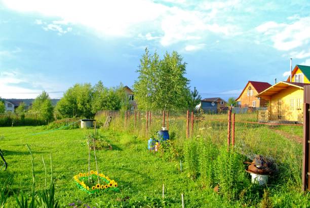 rural courtyard in the evening in summer, Russia