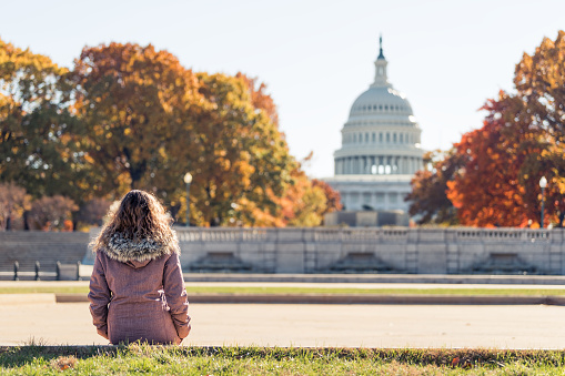 Young woman in coat sitting looking at view of United States Congress Capitol building, golden orange yellow foliage autumn fall trees on street during sunny day in Washington DC