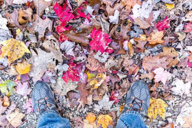 Fallen autumn brown, orange, red, golden many leaves and shoes on ground with man's feet flat lay top view down in Harper's Ferry, West Virginia