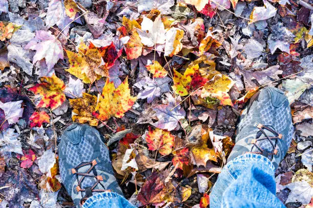 Fallen autumn brown, orange, red, golden many leaves on ground with man's feet shoes flat lay top view down in Harper's Ferry, West Virginia