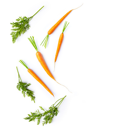 Fresh carrots and carrot stalks on white background; flat lay; organic veggetables; copy space; white background