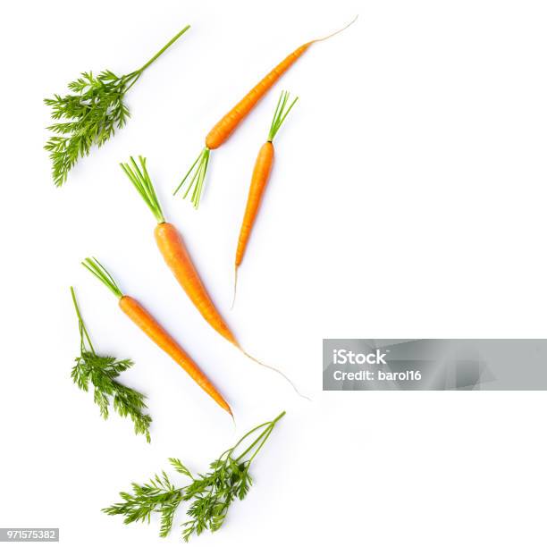 Fresh Carrots And Carrot Stalks On White Background Flat Lay Organic Veggetables Stock Photo - Download Image Now