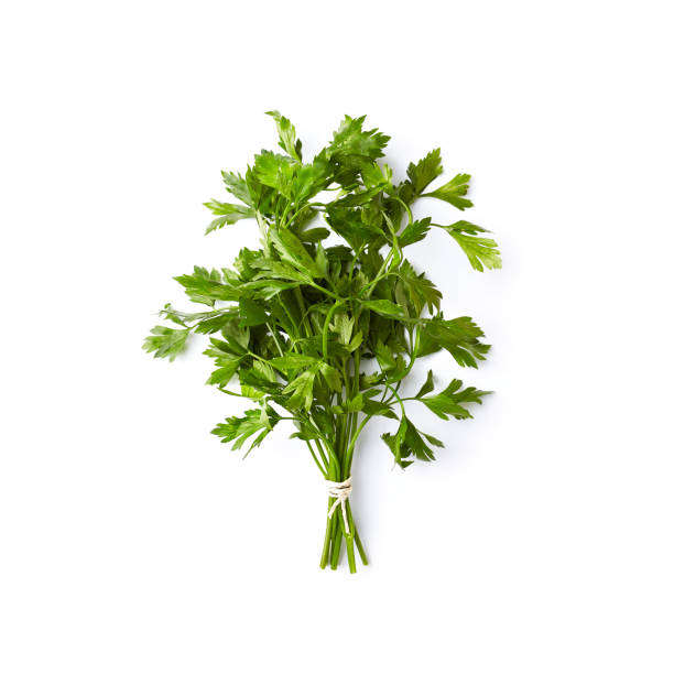 prezzemolo biologico fresco su sfondo bianco; lay piatto - parsley foto e immagini stock