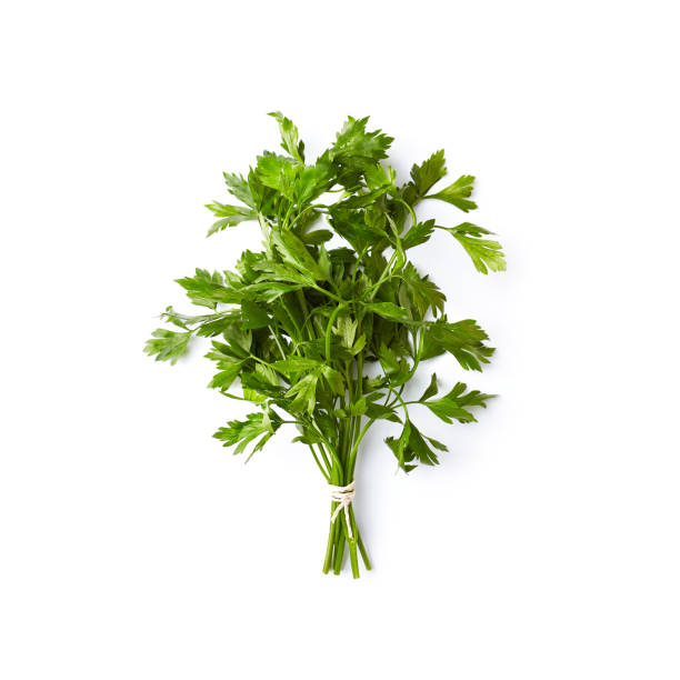 Fresh organic parsley  on white background; flat lay stock photo