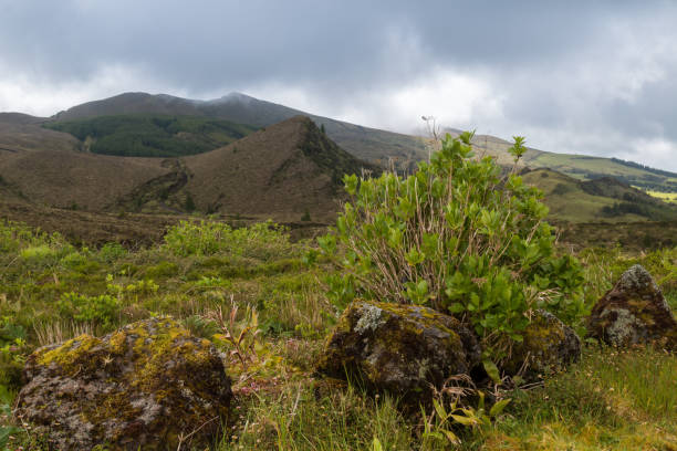 istock Fresh green country with a mountain 971582374