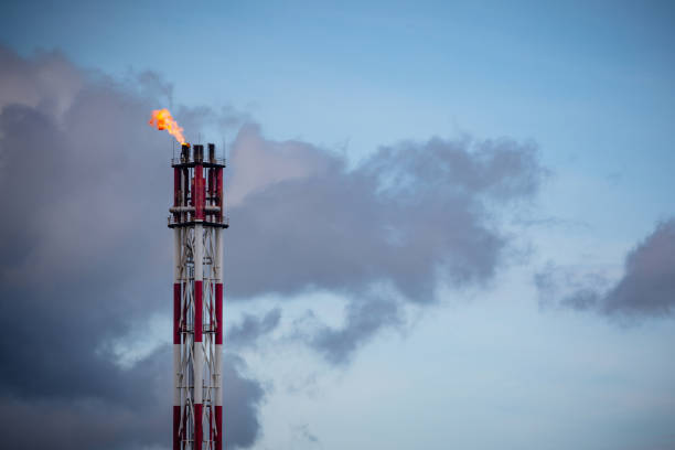 istock Fire on flare stack pipe oil and gas central processing platform while burning toxic of energy industrial 971586498