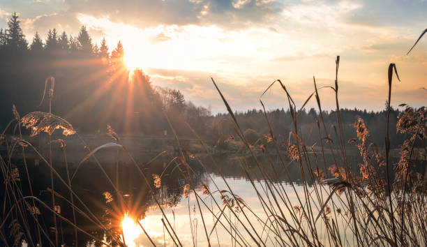 istock Sunrise over the lake. 971603680