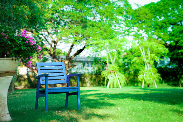 один деревянный синий стул один в саду. почувствуйте себя одиноким, но расслабляющий и выхода на пенсию - patio chair стоковые фото и изображения