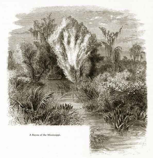 байу реки миссисипи, луизиана, сша, американская викторианская гравюра, 1872 - mississippi river illustrations stock illustrations