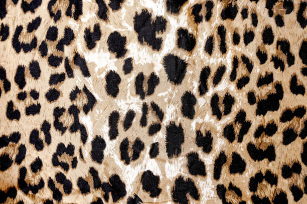 istock Modern stylish texture. The tiger cotton chintz. 971607590