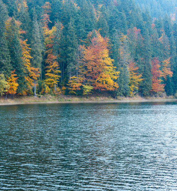 istock Lake Synevyr autumn view. 971610412