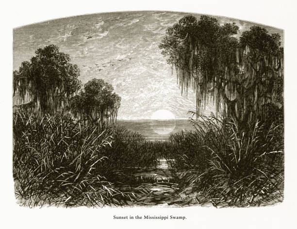 zachód słońca na bagnie missisipi, luizjana, stany zjednoczone, amerykański rycerowanie wiktoriańskie, 1872 - old fashioned scenics engraving river stock illustrations