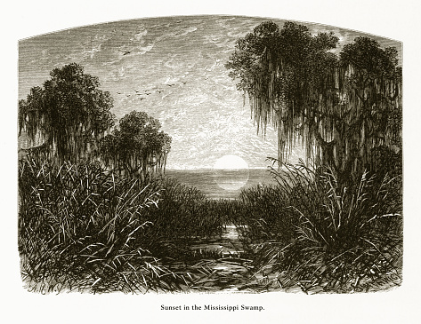 Very Rare, Beautifully Illustrated Antique Engraving of Southwest Pass Mississippi River Bayou, Louisiana, United States, American Victorian Engraving, 1872. Source: Original edition from my own archives. Copyright has expired on this artwork. Digitally restored.