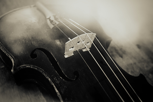 Classical musical string instrument