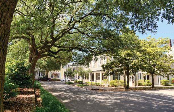 istock Homes, Savannah, Georgia. 971618050