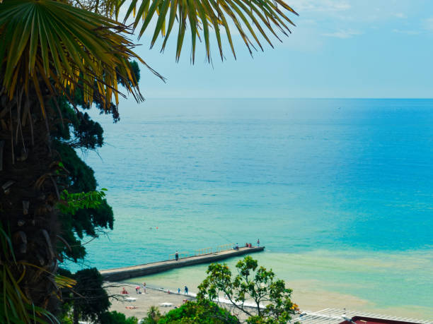 istock Sea beach in the morning 971621138