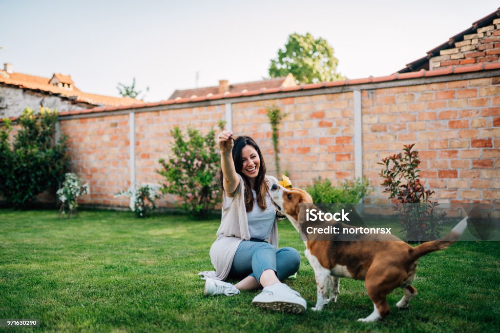 楽しい時間。裏庭で彼女の犬と遊ぶ少女。 - 庭のロイヤリティフリーストックフォト