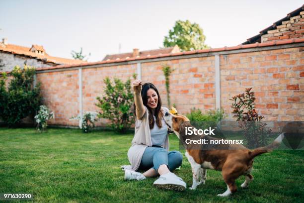 Fun Time Girl Playing With Her Dog In The Backyard Stock Photo - Download Image Now