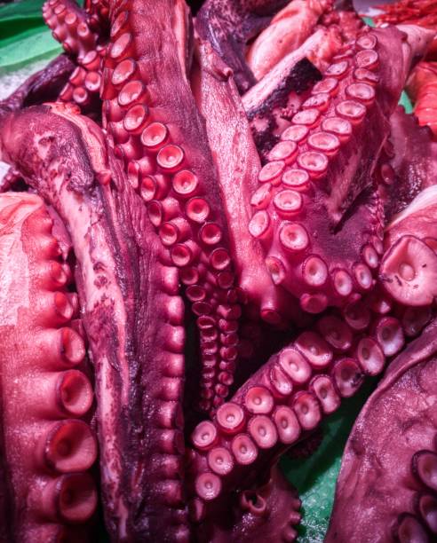 Sea Food