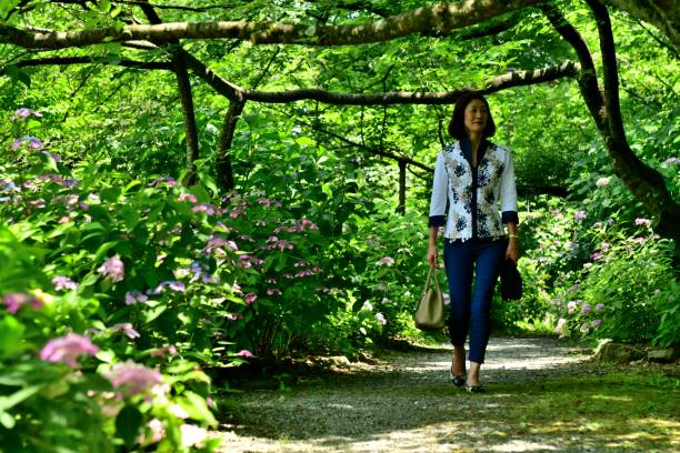 istock Japanese Woman Walking in Park with Hydrangea in Full Bloom 971639890