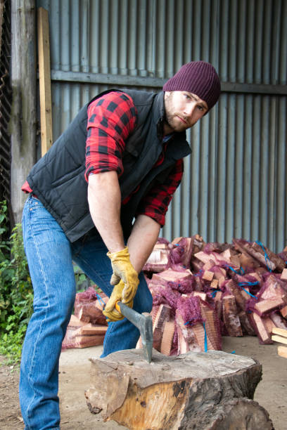 istock Handsome male lumberjack chops firewood in yard 971640348