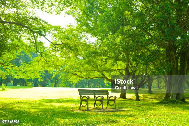 Park Bench Stock Photo - Download Image Now - Public Park, Bench, Shade
