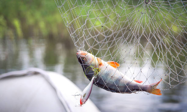 istock Fishing spinning reel. 971646084
