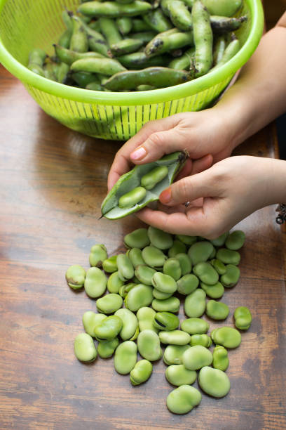 habas de asia mercado - fava bean broad bean vegetable bean fotografías e imágenes de stock