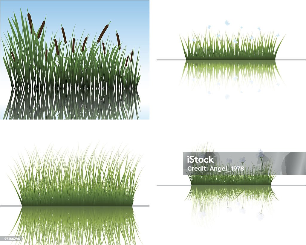 Herbe sur l'eau - clipart vectoriel de Couleur verte libre de droits