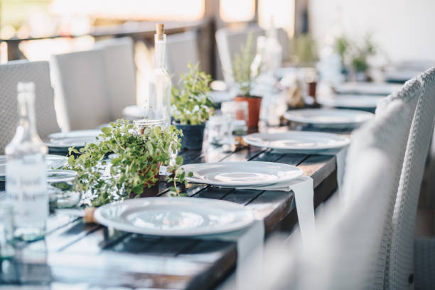decoración de la mesa para una ocasión especial - placas blancas y plantas verdes. decoración ambiente eco/naturaleza. - banquete fotografías e imágenes de stock