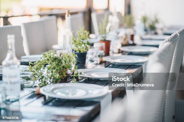 特別な機会 白いお皿と緑の植物のためのテーブルの装飾環境自然フレンドリーな装飾 - レストランのストックフォトや画像を多数ご用意 - レストラン, テーブル, テーブルセッティングする