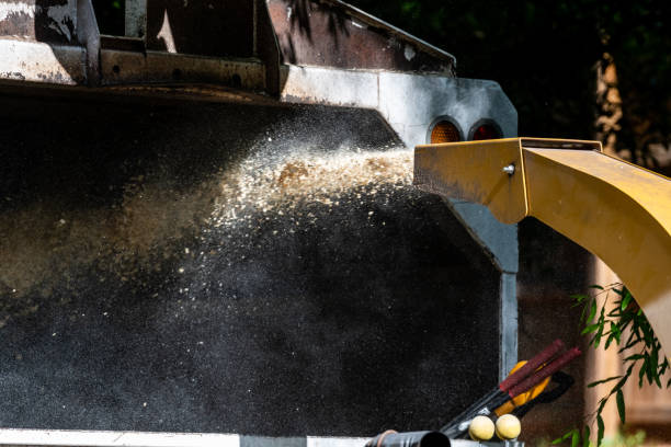 copeaux de bois, tournage de chipper - broyeur de branches photos et images de collection
