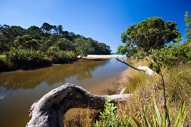 login em long bay - long bay - fotografias e filmes do acervo