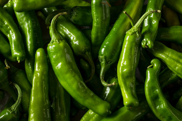 istock Raw Green Organic Shishito Peppers 971670042