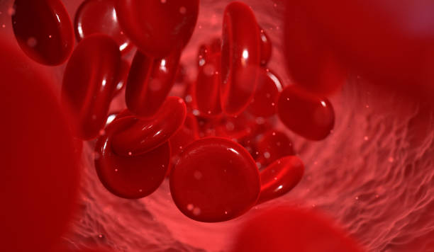 istock Blood Cells In A Vein 971672392
