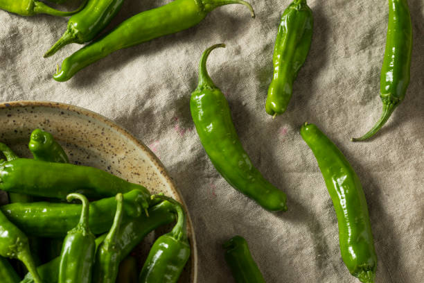 istock Raw Green Organic Shishito Peppers 971672844