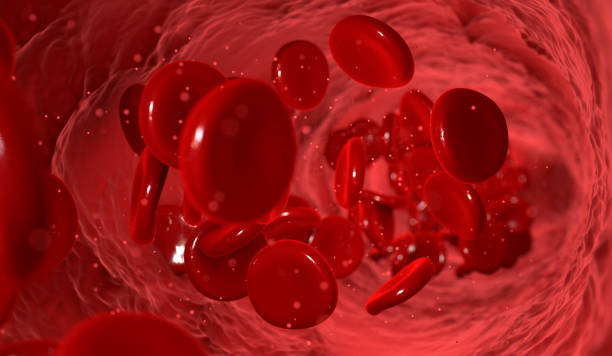 istock Blood Cells In A Vein 971672992
