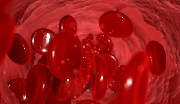 istock Blood Cells In A Vein 971673046