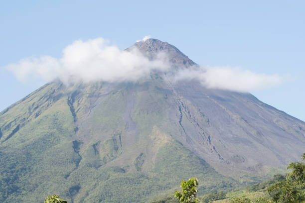 istock Life amongst Costa Rica 971682756