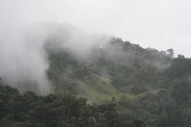 istock Life amongst Costa Rica 971682800