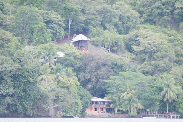 istock Life amongst Costa Rica 971682860