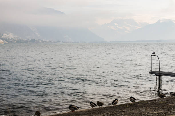 istock Mountains beyond the lake. 971688440