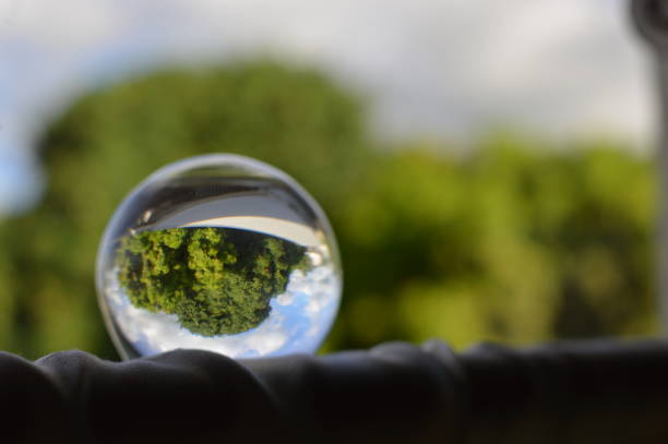 istock Crystal ball with reflection of tree and sky, Caribbean setting, objects 971689050