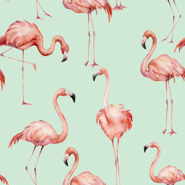 istock Watercolor flamingo pattern. Hand painted bright exotic birds isolated on blue background. Wild life illustration for design, print, fabric or background. 971689146