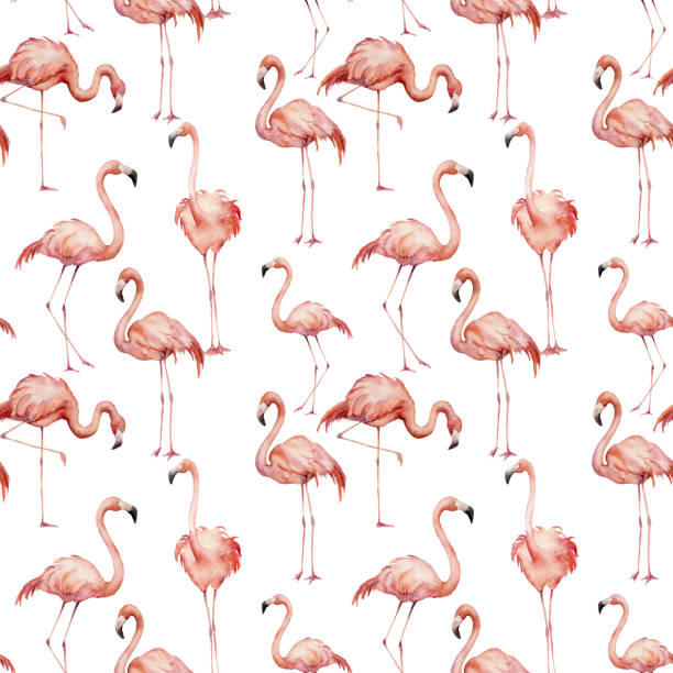 istock Watercolor pink flamingo pattern. Hand painted bright exotic birds isolated on white background. Wild life illustration for design, print, fabric or background. 971689234