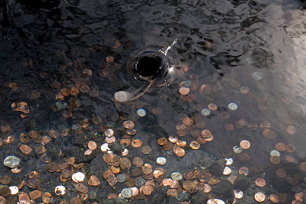 Coin entering wishing well stock photo