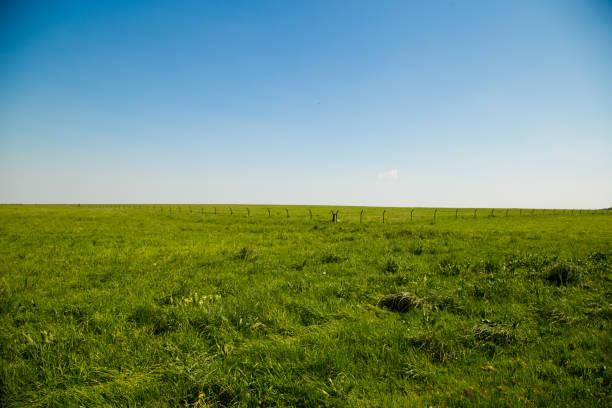 istock Empty grass field with fence in UK 971694380